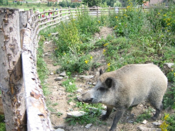 Tábor 2007 na Slezské Hartě
