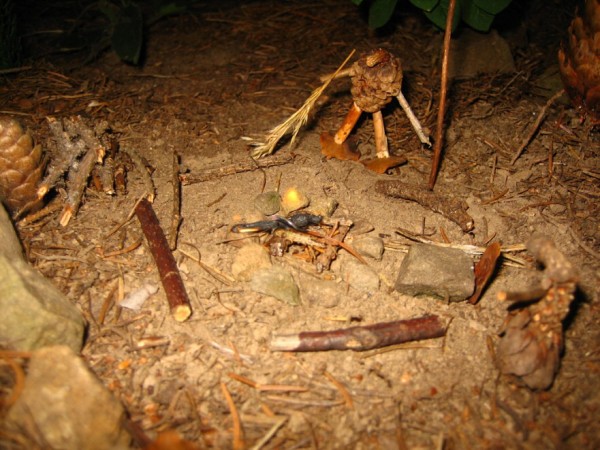 Tábor 2007 na Slezské Hartě